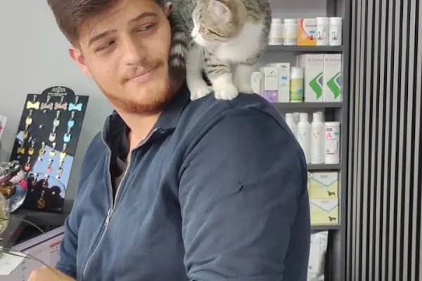 Küçükçekmece White Vet Veteriner Kliniği - Resim 19