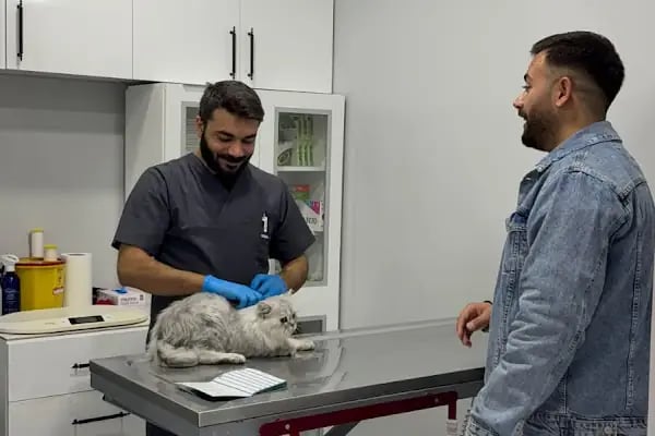 Küçükçekmece White Vet Veteriner Kliniği - Resim 5