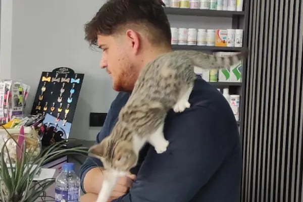 Küçükçekmece White Vet Veteriner Kliniği - Resim 10