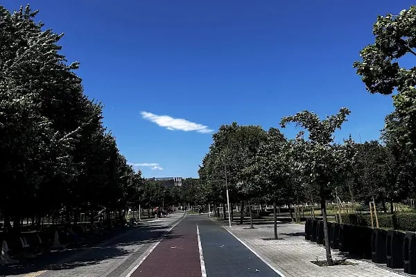 Zeytinburnu - Resim 14