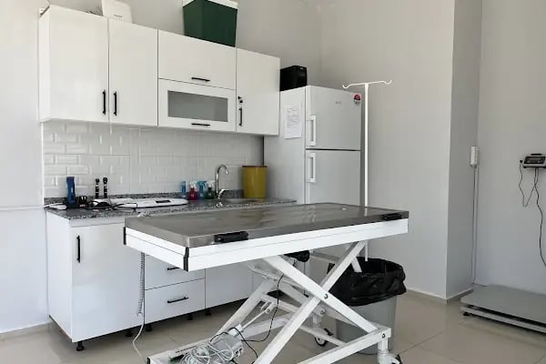 On7 Veteriner Kliniği Dalaman - Resim 2
