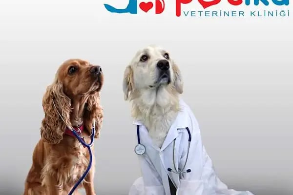 Petika Veteriner Kliniği - Resim 8