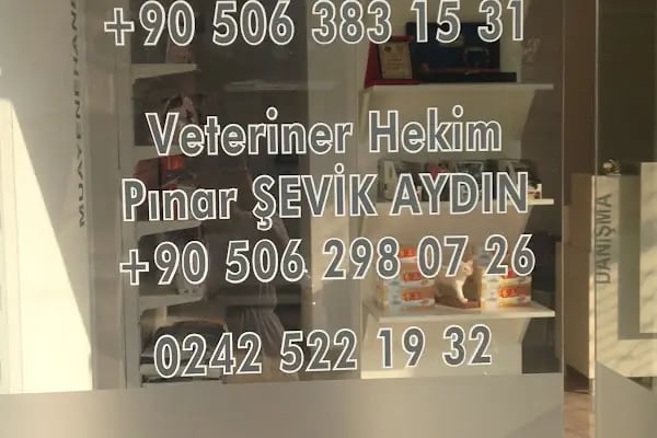 Veteriner Tedavi Merkezi (VETEM) - Resim 20
