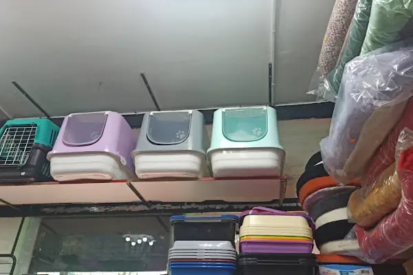 Tekir Petshop - Resim 18
