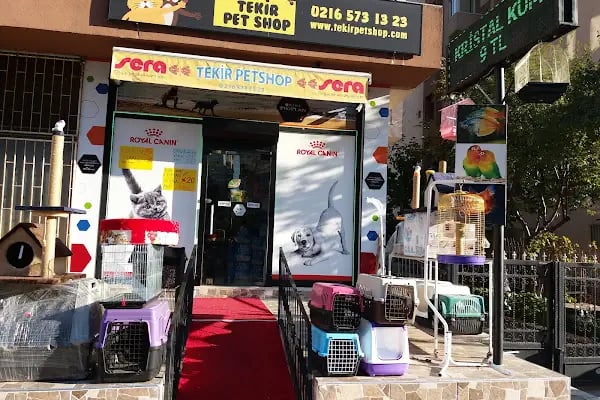 Tekir Petshop - Resim 9