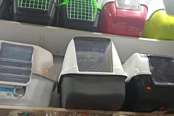 Tekir Petshop - Resim 17