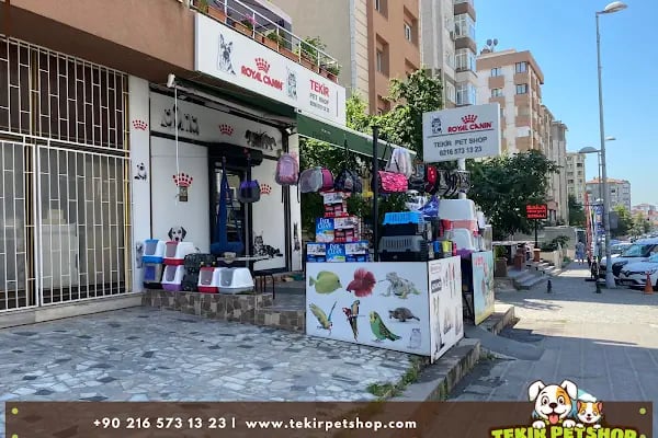 Tekir Petshop - Resim 3