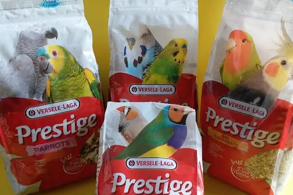 Tekir Petshop - Resim 20