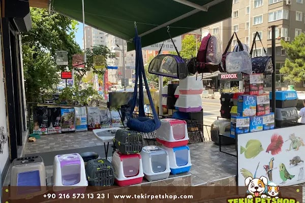 Tekir Petshop - Resim 7