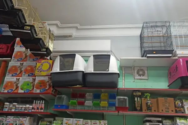 Tekir Petshop - Resim 19