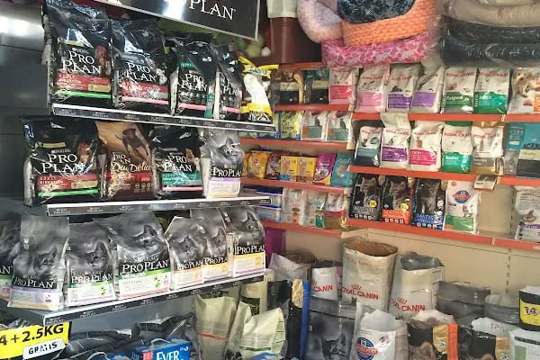 Tekir Petshop - Resim 8