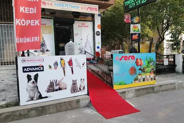 Tekir Petshop - Resim 11