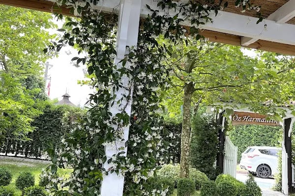 Öz Harmanlık Restoran - Resim 19