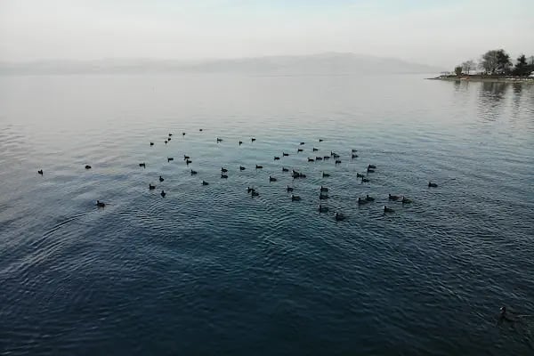 La Cabaña İznik - Resim 7