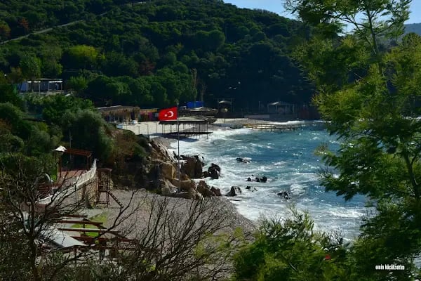 Levent Lavi Kovos Korusu - Resim 12
