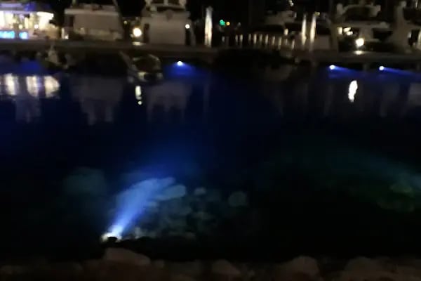 Haremlique Istanbul Yalıkavak Marina - Resim 15