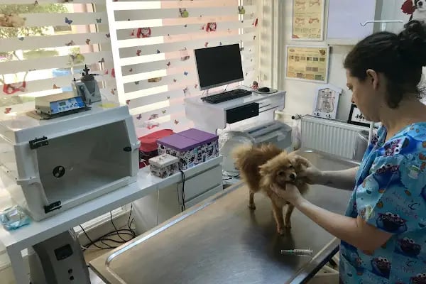 Ataköy Sevgi Veteriner Kliniği - Resim 2