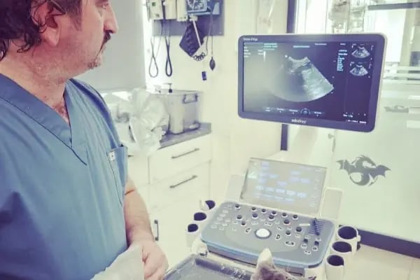 Ejder Veteriner Kliniği - Resim 20