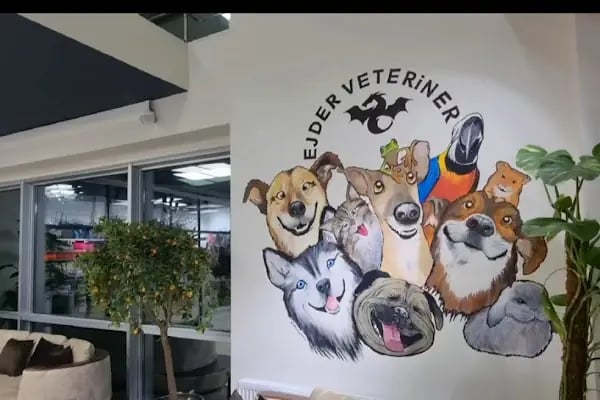 Ejder Veteriner Kliniği - Resim 11