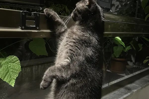 Ejder Veteriner Kliniği - Resim 14