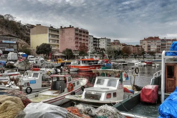 Tekirdağ Namık Kemal Üniversitesi Marmaraereğlisi Meslek Yüksekokulu - Resim 16