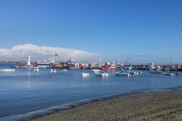 Tekirdağ Namık Kemal Üniversitesi Marmaraereğlisi Meslek Yüksekokulu - Resim 6