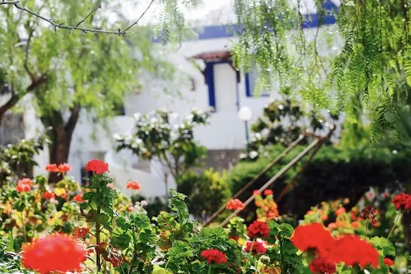 My House Bodrum Holiday Village - Resim 18