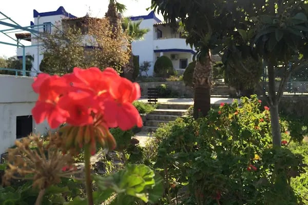 My House Bodrum Holiday Village - Resim 16