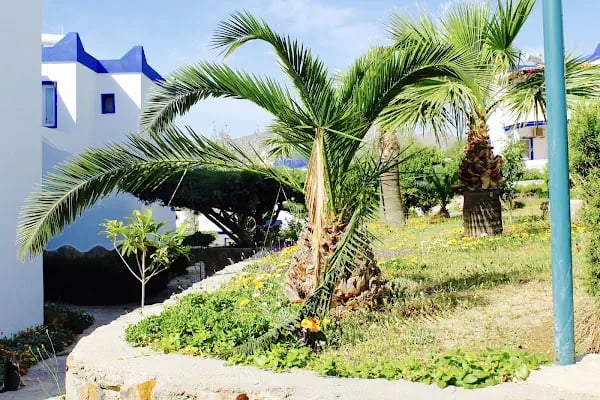 My House Bodrum Holiday Village - Resim 14