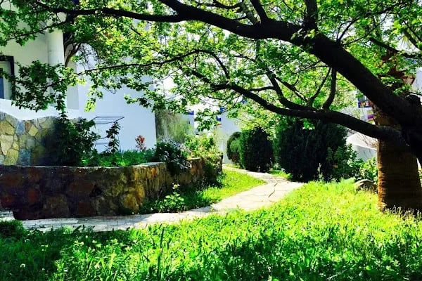 My House Bodrum Holiday Village - Resim 15