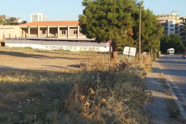 Köpük oto yıkama - Resim 4