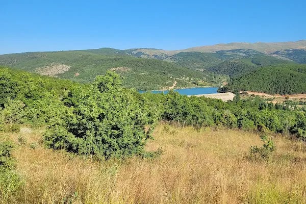 Derbent Dereağzı Göleti - Resim 3