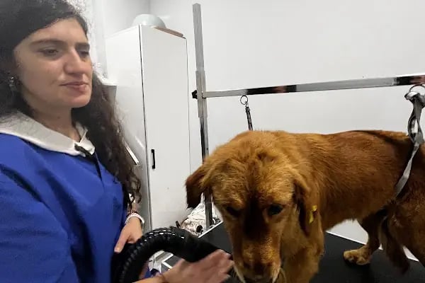 Can Dostum Pet Butik Otel - Resim 11