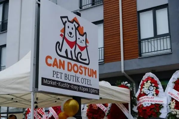 Can Dostum Pet Butik Otel - Resim 2
