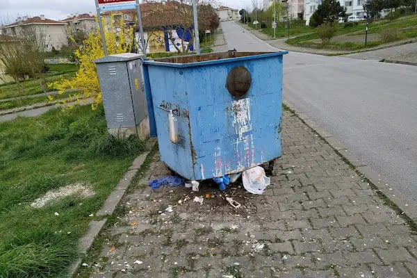 Adapazarı Belediyesi Temizlik İşleri Müdürlüğü - Resim 2
