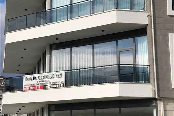 Profesör Doktor Sibel Güldiken, İç Hastalıkları ve Endokrinoloji - Resim 4