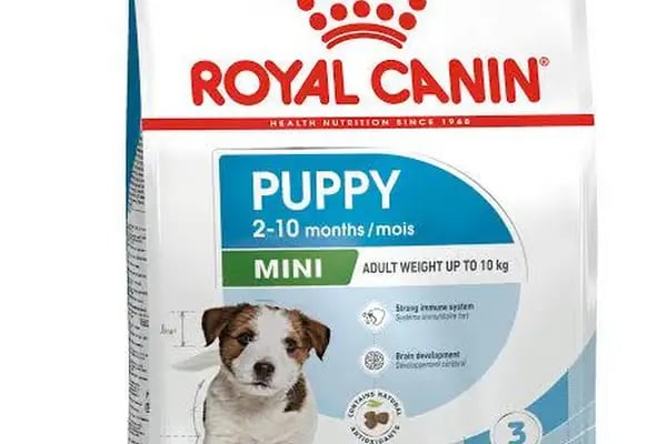 Vizyon Petshop - Resim 15