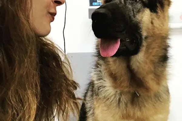 Cidago Veteriner Kliniği Zeytinburnu - Resim 14