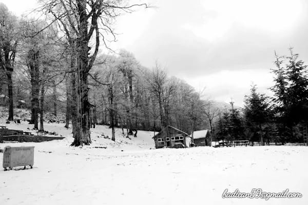 Kartepe Kayak Merkezi - Resim 18