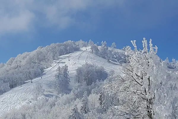 Kartepe Kayak Merkezi - Resim 11