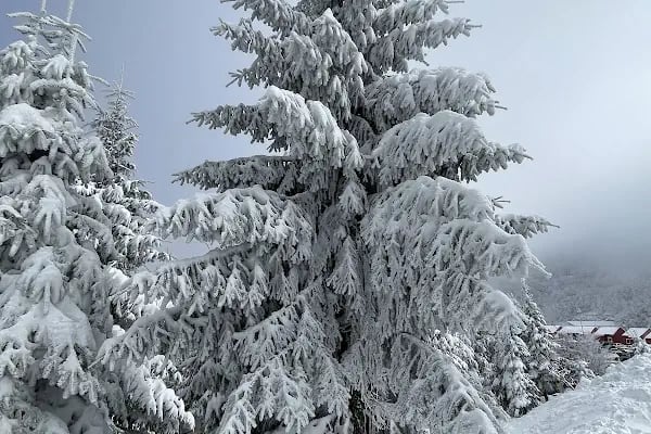 Kartepe Kayak Merkezi - Resim 17