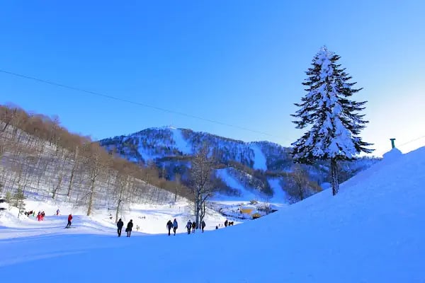 Kartepe Kayak Merkezi - Resim 9