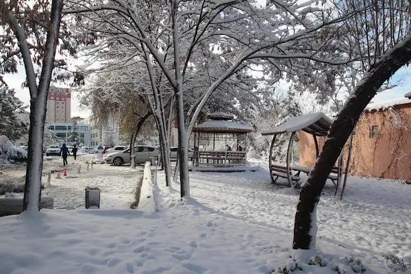 Dr. Abdurrahman Yurtaslan Ankara Onkoloji Eğitim ve Araştırma Hastanesi - Resim 16