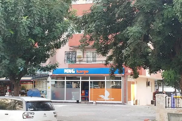 DHL eCommerce - Altınkoza Şubesi - Resim 19