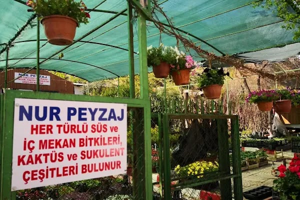 NUR PEYSAJ - Resim 14