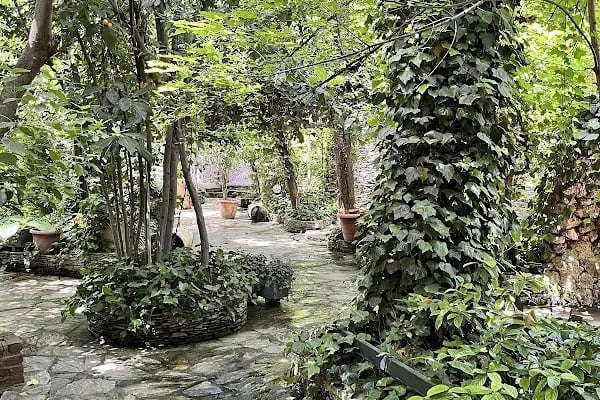 Değirmende Canlı Alabalık - Resim 14