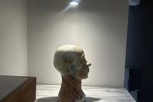 Dr. Özay Ercan - Resim 8