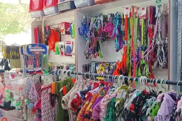 Patilendin Petshop - Resim 9