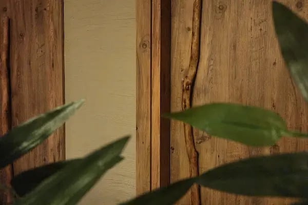 🌸 Sakura Spa and Wellness 🌸 - Resim 15