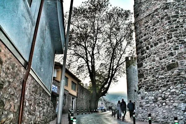 Anadolu Evi Fasıl Restaurant - Resim 16